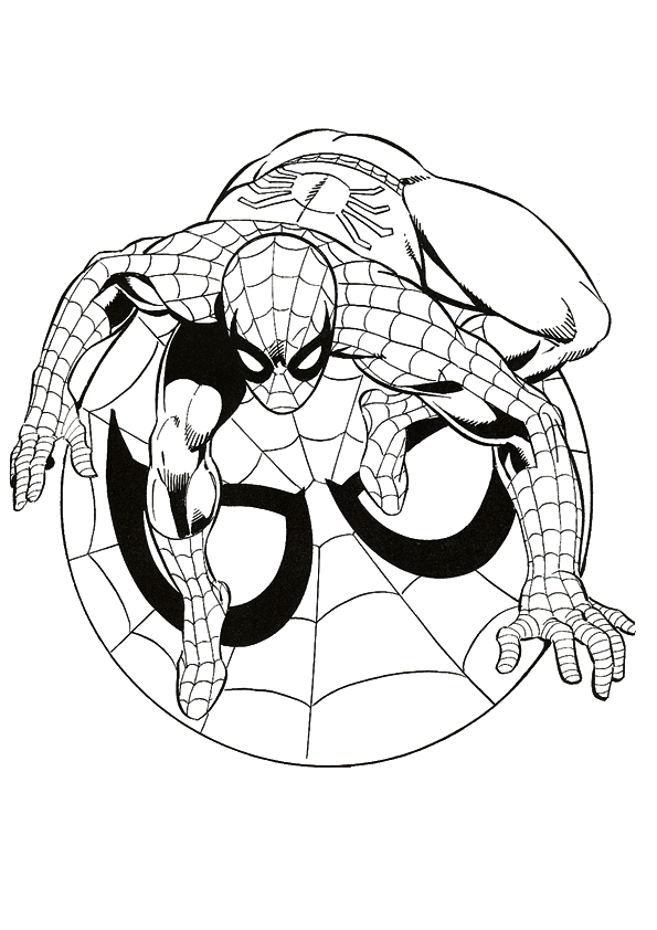 45+ Printable Spiderman Logo Coloring Pages for Adult