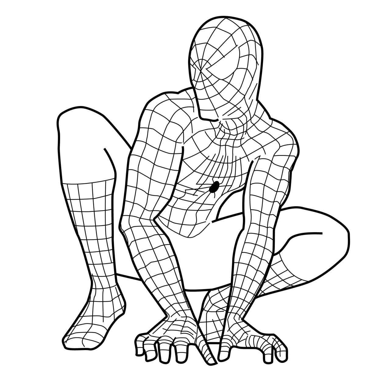 10 Amazing Spider-Man Coloring Pages for Web-Slinging Fun