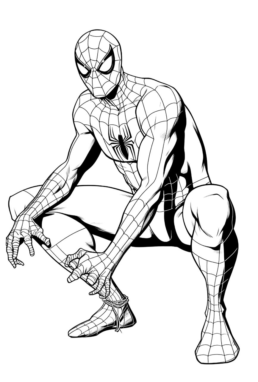 10 Adult Coloring Book Spiderman Coloring Book: Unleash Your Inner Web-Slinger