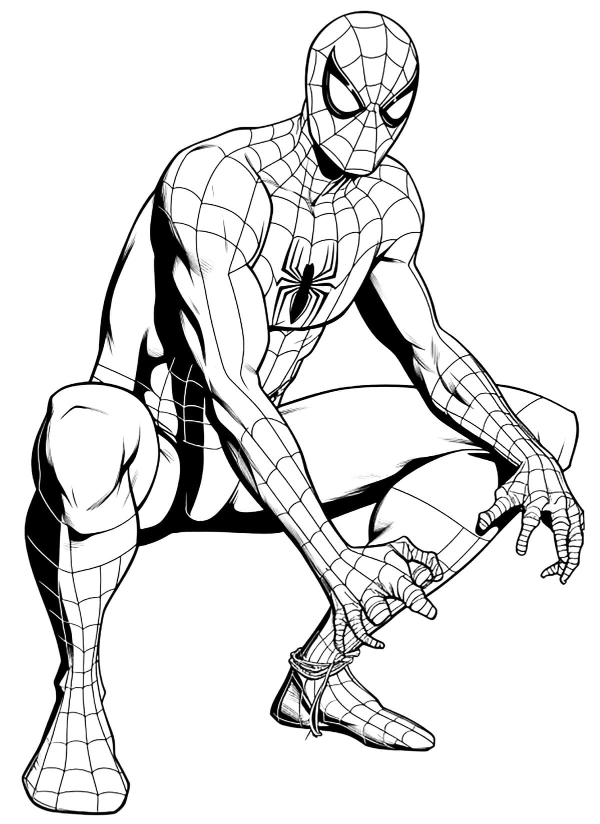 Spiderman Coloring Pages Adult Free Printable 13