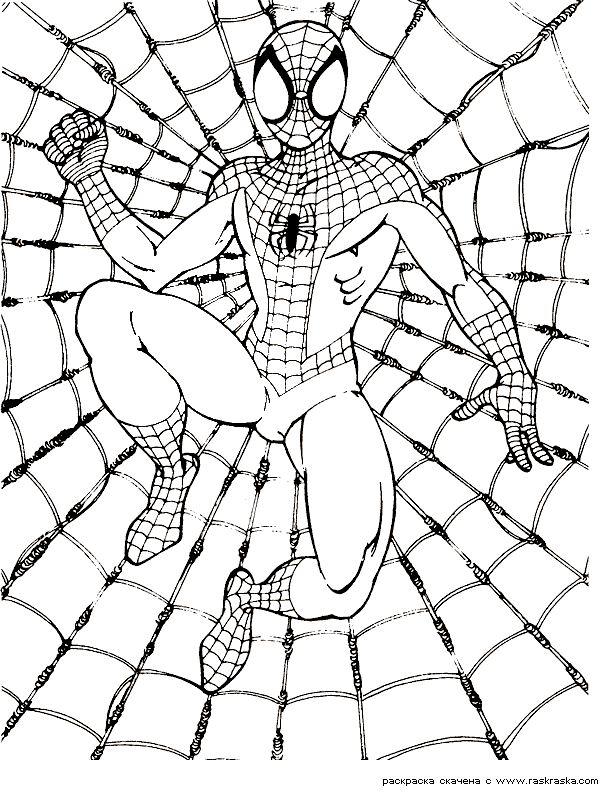 Spiderman Coloring Pages Adult Free Printable 16