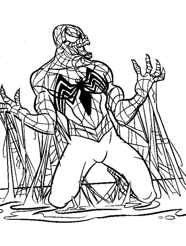 Spiderman Coloring Pages Adult Free Printable 18