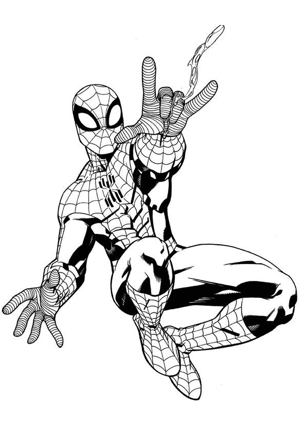 Spiderman Coloring Pages Adult Free Printable 9