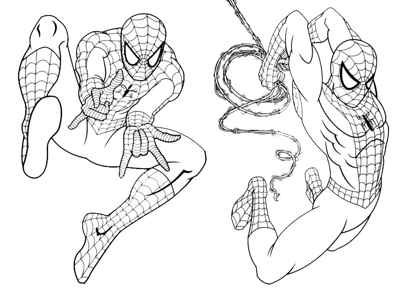 Spiderman Coloring Pages Cute Free Printable 14