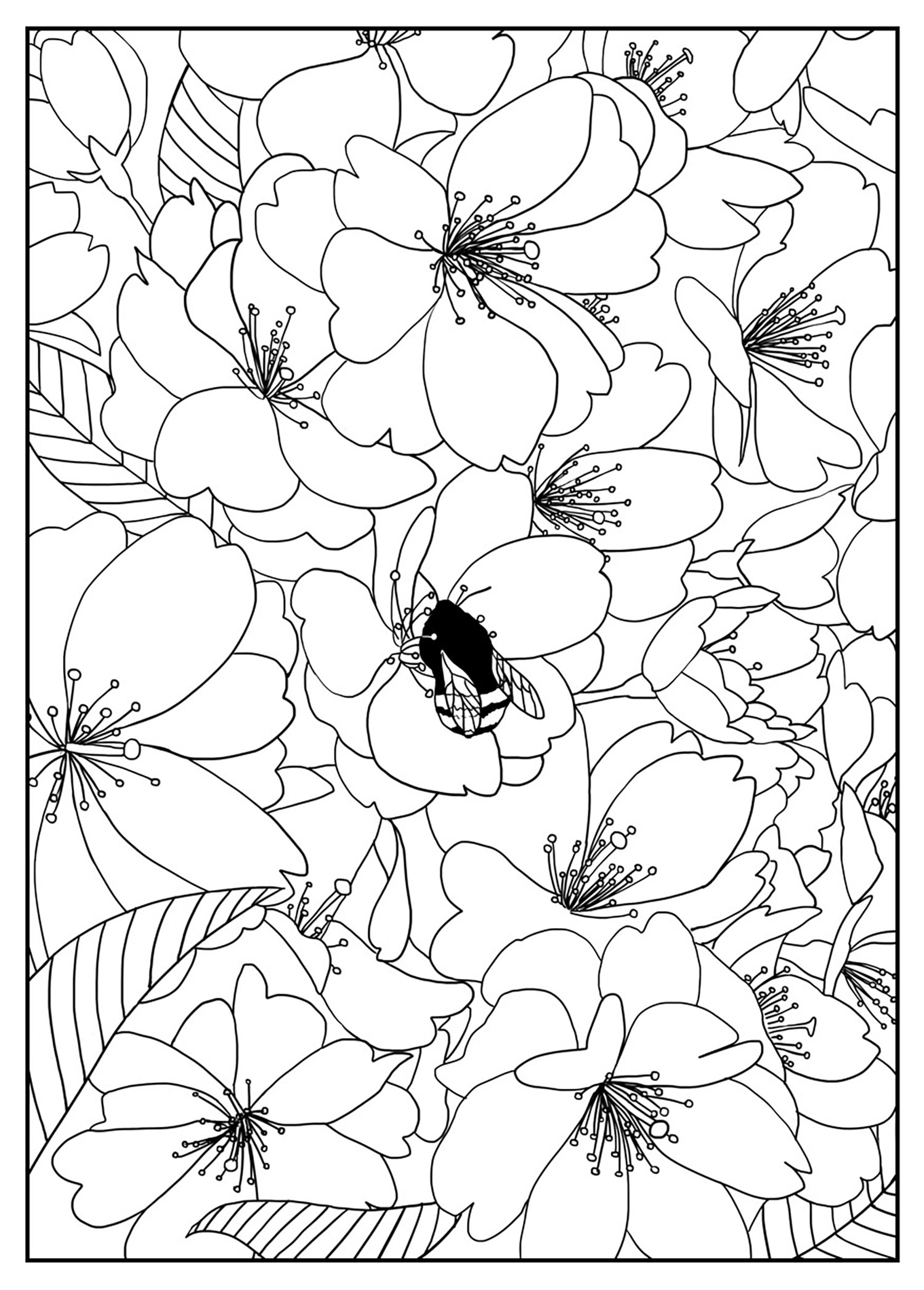 beautiful cherry coloring pages printable jpg