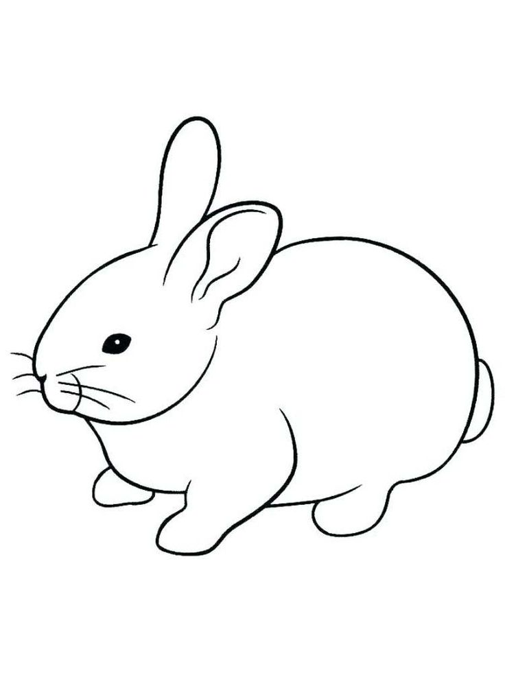 cute rabbit coloring pages printable jpg