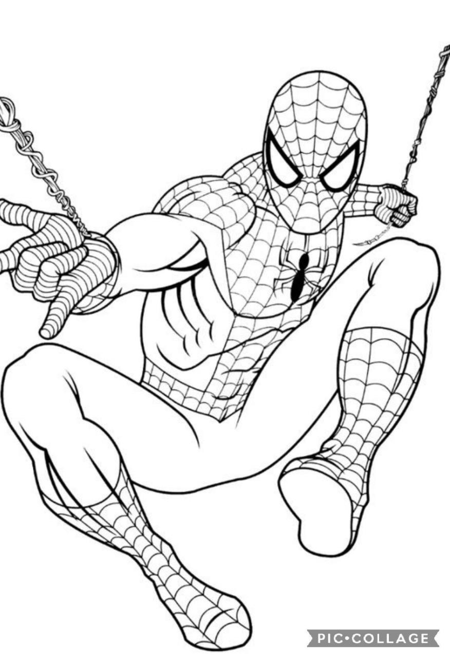 Spiderman Coloring Pages for Kids FREE Printable 13