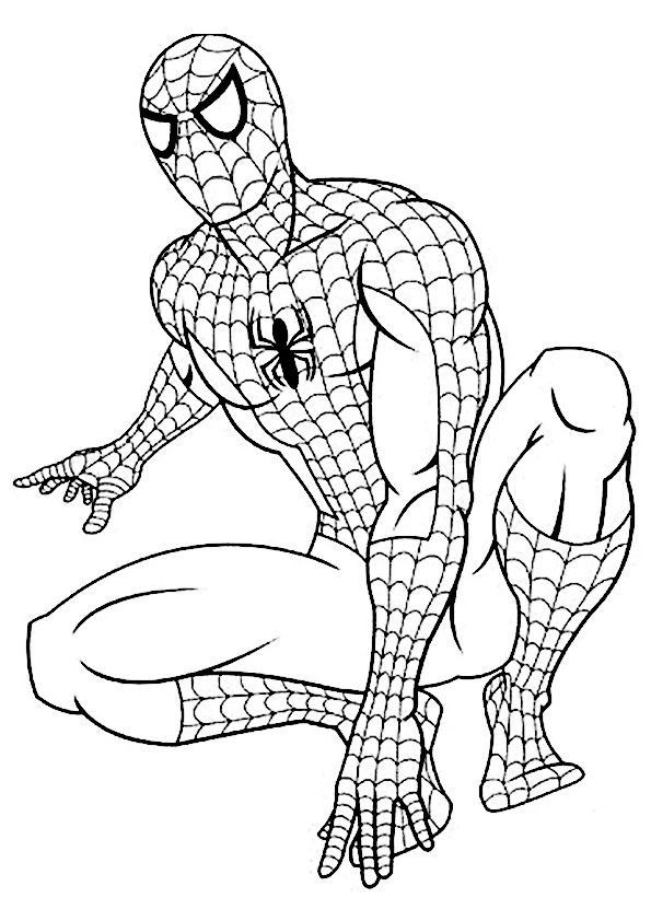 Spiderman Coloring Pages for Kids FREE Printable 59